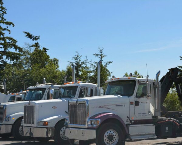 Transportation White Trucks